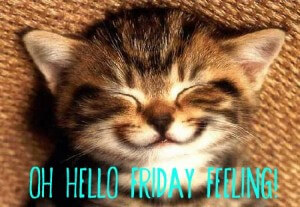 Cat Friday smile