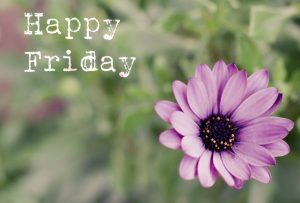 HappyFridaymain