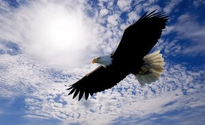 SoaringEagle1