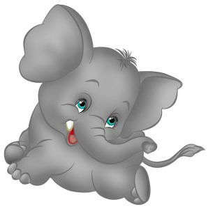 elephant
