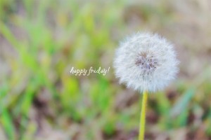 happy-friday-61